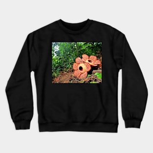 corpse lily, flower, red, rare flower, nature, rafflessia, rafflesia arnoldii- rafflesia flower Crewneck Sweatshirt